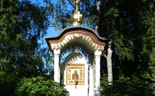 Толгский монастырь. Кедровник